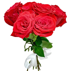Buquê com 10 rosas...