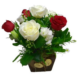 Arranjo com 6 rosas no...
