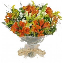 Buquê com 6 astromélias - 1265