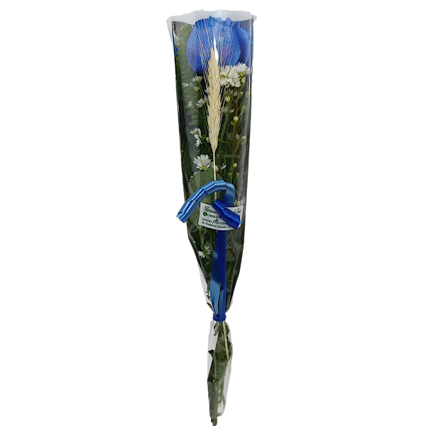 Botão de rosa azul no...