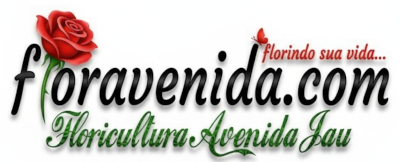 Floricultura Avenida Jau Ltda ME
